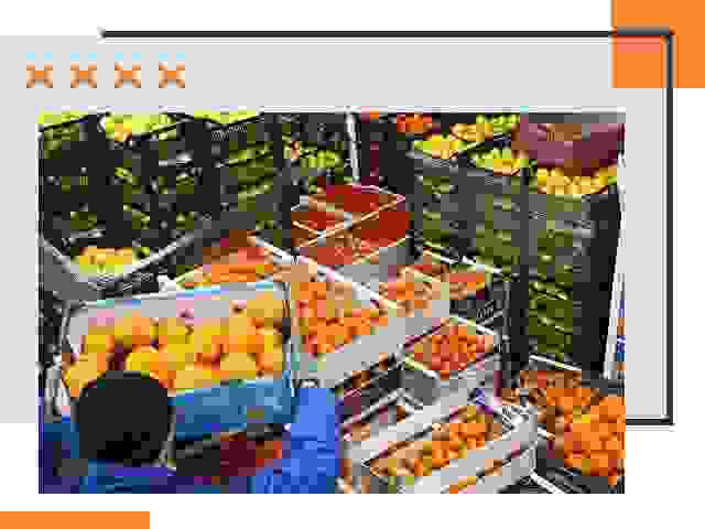 Перевозка скоропортящихся продуктов в Похвистнево
